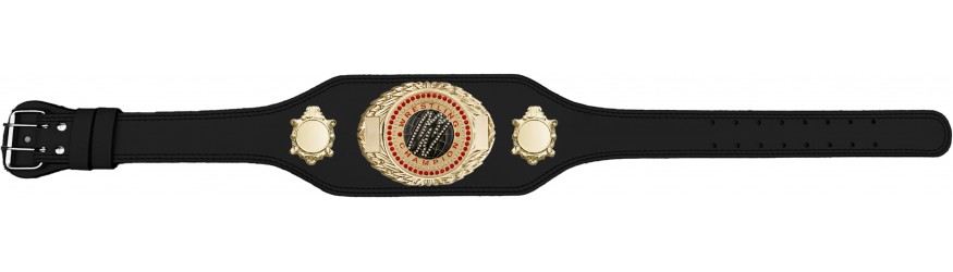 WRESTLING CHAMPIONSHIP BELT-BUD295/G/WRESTGEMG-4 COLOURS